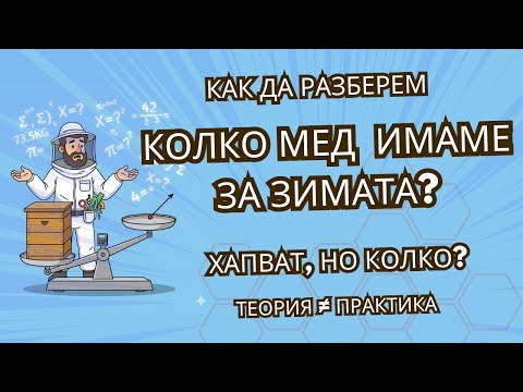 Видео: Колко мед има в кошера?
