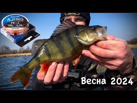 Видео: МІКРОДЖИГ В БЕРЕЗНІ|ОБКАТАВ НОВИЙ ШНУР Gosen Answer Ajing PE X4 150m PE0.25 6lb