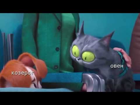 Видео: знаки зодиака как мемы из TikTok |