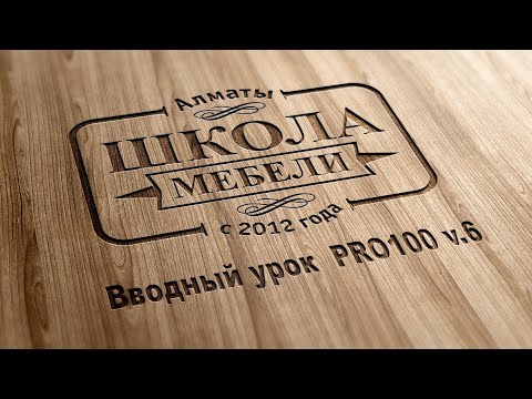 Видео: PRO 100 6 Вводный урок для семинара Дизайн Мебели июнь 2023г