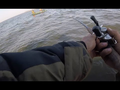 Видео: Как на заливе рыбу косили. Ловля Судака в Калининградском заливе.