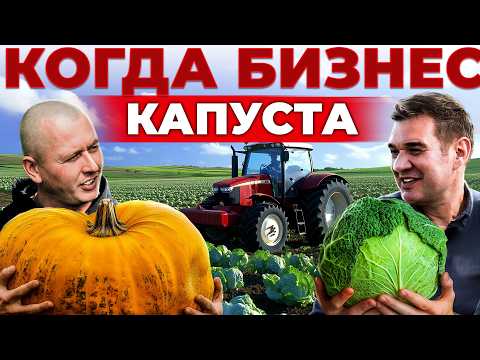 Видео: ОВОЩИ без кредитов. Как вырастить капусту и тыкву. Секреты овощеводства от потомственного фермера.