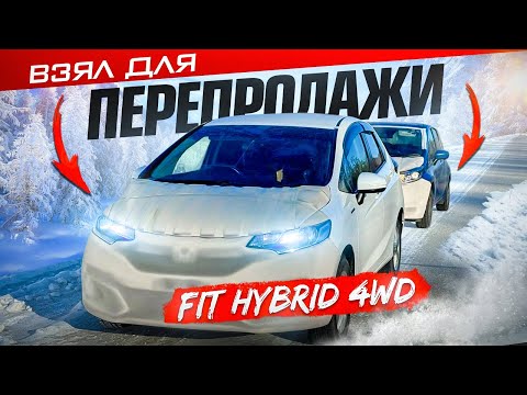 Видео: Fit Hybrid 4WD. Зимний перегон из Владивостока.