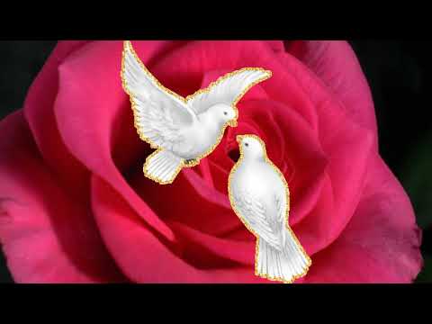 Видео: КЕГЮРЧЮН