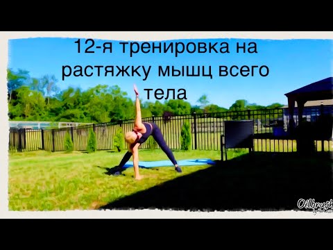 Видео: Часовая тренировка на улучшение диапазона движения суставов, растяжку и укрепление мышц всего тела.