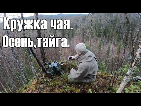 Видео: В плену тайги.Таёжный чай и прекрасный вид.