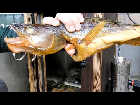 Видео: Холодне Копчення Судака. Тестую Нову Коптильню