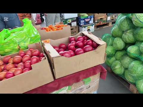 Видео: Беларусь | Оптовый рынок д. Таборы