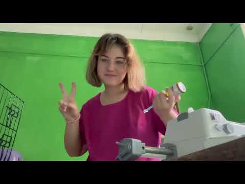 Видео: Работа в ветеринарной клинике в 19 лет