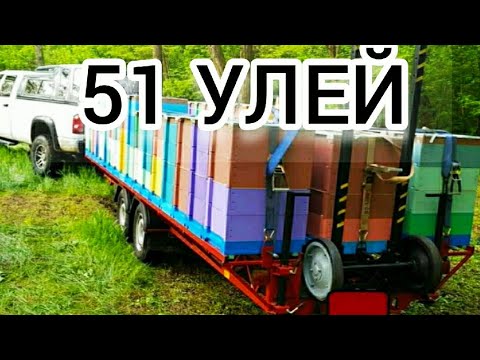 Видео: УВИДЕЛ И ЗАГОРЕЛСЯ ТАКОЙ ПЛАТФОРМОЙ. Бджоловiз.BEES TRANSPORTATION PLATFORM.