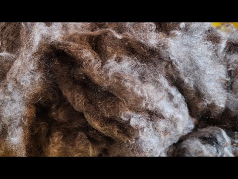 Видео: 4. После кардирования. Один  вариант очищения и подготовки к прядению