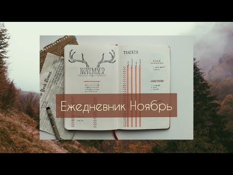 Видео: Bullet journal Ноябрь // холодно и серо // 2019