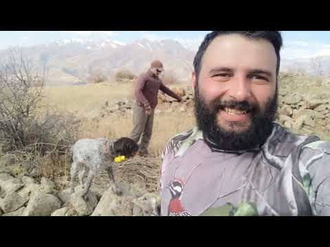 Видео: Kaqavi vors/охота на кеклика/ կաքավի որս/ 2022-2023