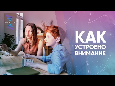 Видео: Как устроено внимание. ЮНЕВЕРСУМ. Проект Вячеслава Юнева