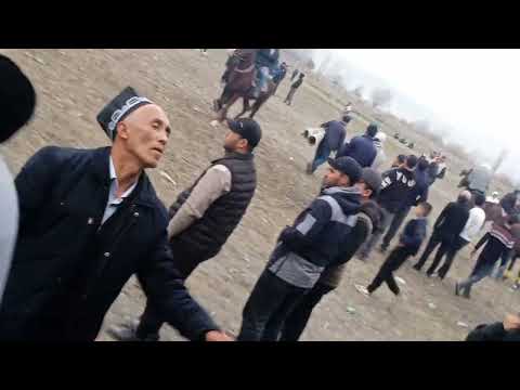 Видео: 23 октября 2025 г.