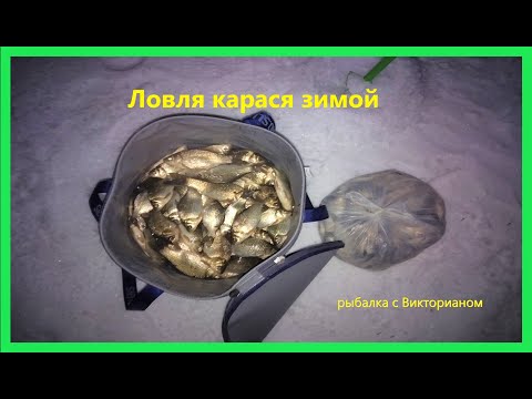 Видео: Ловля карася зимой! клев как с пулемета! Рыбалка в северном Казахстане!