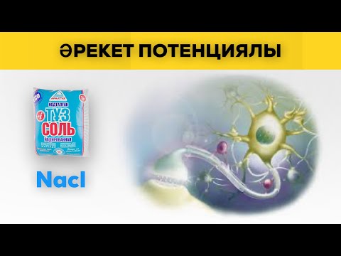 Видео: Әрекет потенциалы | МПД