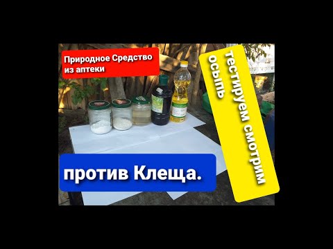 Видео: Природное Средство из Аптеки против Клеща Варроа, Проверяем Тестируем, смотрим осыпь вароа