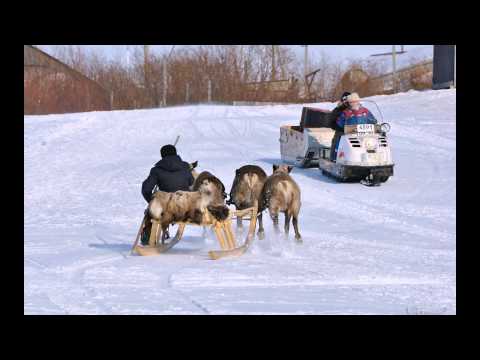 Видео: Красный город Нарьян Мар