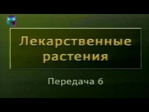 Видео: Передача 6. Лекарственные растения и сердечно-сосудистая система