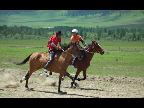 Видео: Горный Алтай. Ело. Скачки