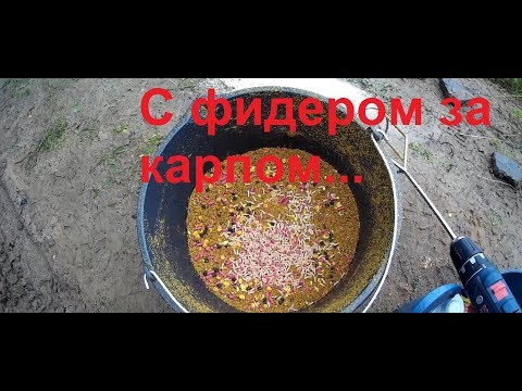 Видео: С фидером на платнике!Квакшино Тверская область.