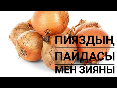 Видео: ПИЯЗДЫҢ ПАЙДАСЫ МЕН ЗИЯНЫ #ем #шипа#пияз  #пайдалыкеңес