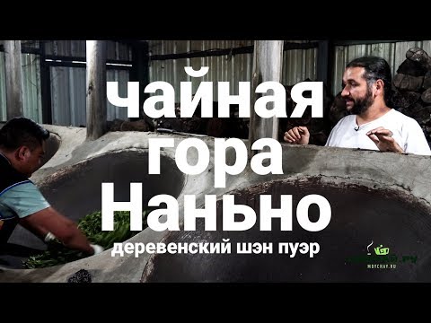 Видео: Чайная гора Наньно, весна 2018. Деревенский шэн пуэр