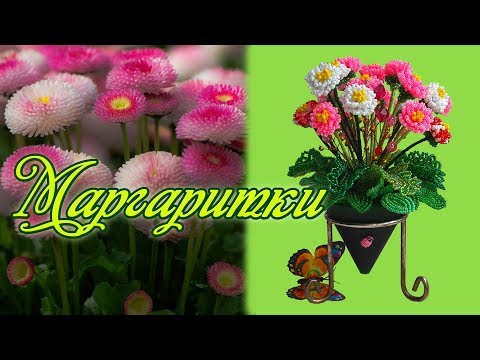 Видео: DIY / МАРГАРИТКИ ИЗ БИСЕРА / Мастер-класс / Цветы из бисера / beaded flowers / Бисероплетение