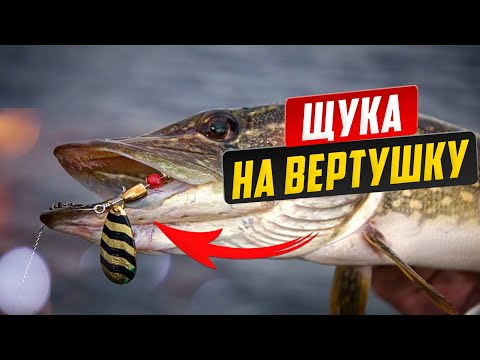 Видео: Вертушка - самая лучшая блесна. Щука на вертушку, окунь на вертушку.