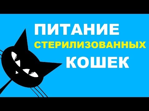 Видео: Питание стерилизованных кошек: советы по выбору корма