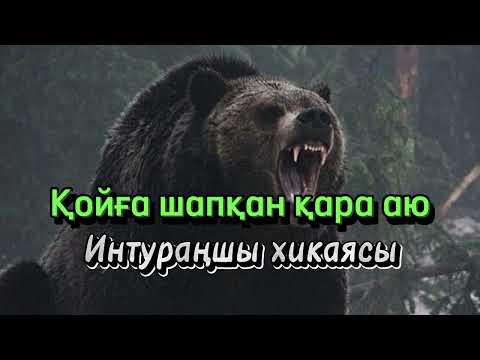 Видео: Қойға шапқан қара аю. Интураңшы хикаясы циклынан. Авторы: Әлібек Асқаров