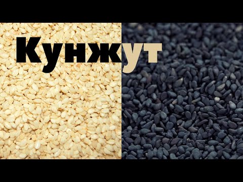 Видео: Кунжут | Как это сделано | Sesame