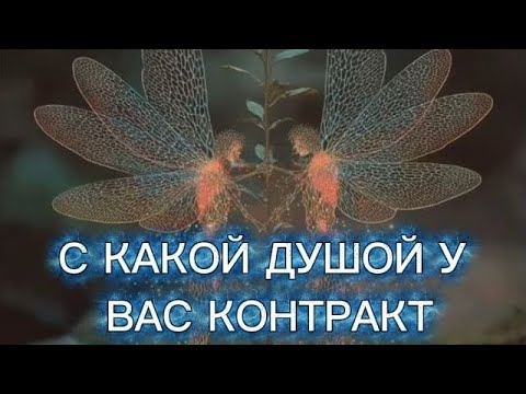 Видео: С КАКОЙ ДУШОЙ👁️🌀❗ У ВАС КОНТРАКТ🤝‼️