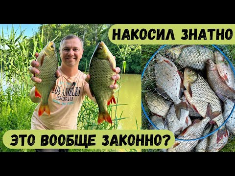 Видео: ТОЛЬКО НА СЕТКУ ЛОВИТЬСЯ ТАКАЯ РЫБА, говорили мне мои друзья.