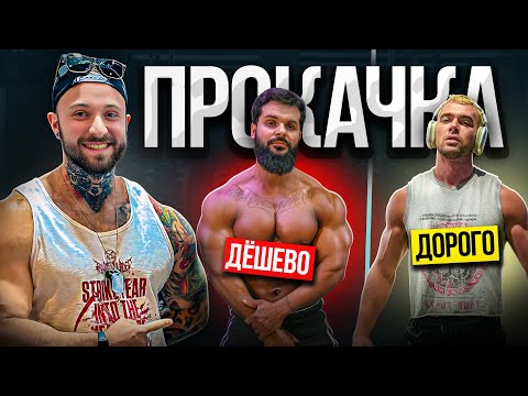 Видео: Как накачаться БЕЗ ДЕНЕГ? Шоу ЭКСПЕРИМЕНТ