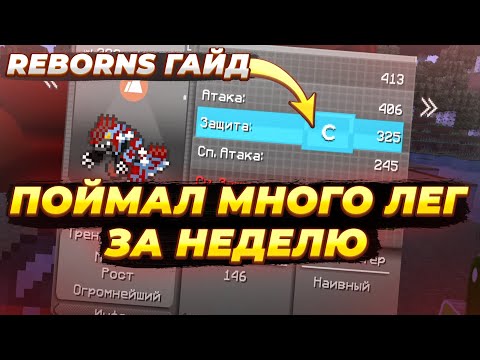 Видео: 20+ ЛЕГЕНД ЗА НЕДЕЛЮ | REBORNS ГАЙД | Pixelmon Майнкрафт