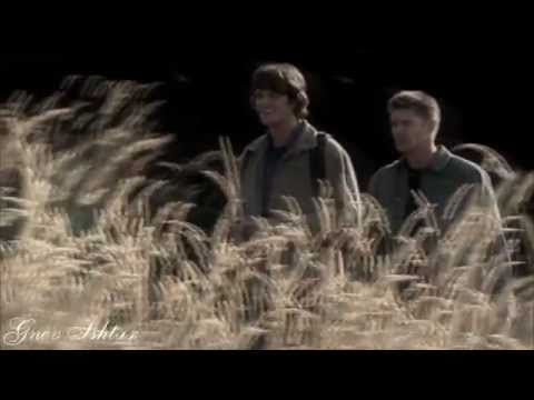 Видео: SPN. Я приду к тебе