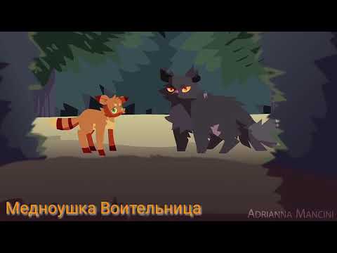 Видео: Коты-Воители: Пепелица – Он не для тебя
