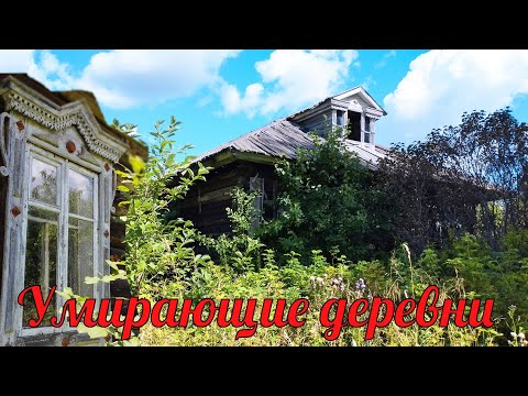 Видео: Старинная умирающая деревня Красново. Кировская область.  Покинутый мир Вятки.