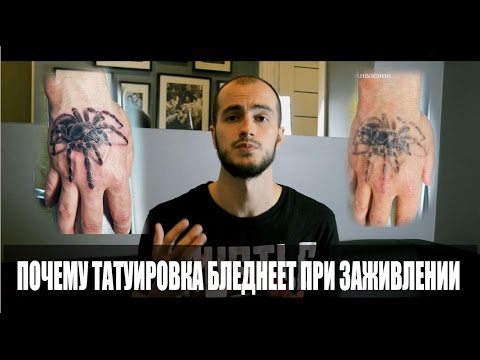 Видео: Почему татуировка бледнеет при заживлении