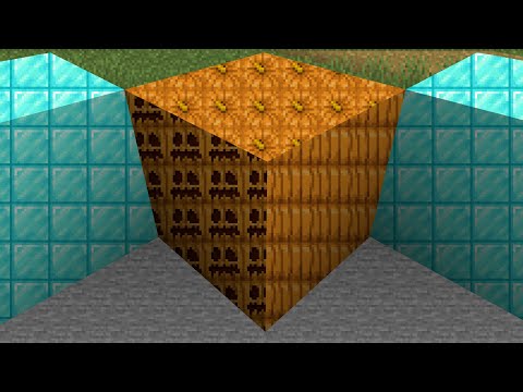 Видео: майнкрафт, но все текстуры в 2D