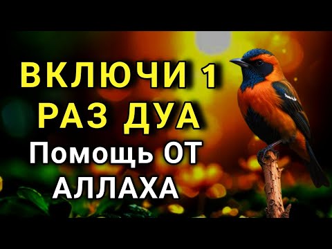 Видео: Слушай ЭТУ дуа один раз и болезни исчезнут навсегда! 🤲✨💯🕊️