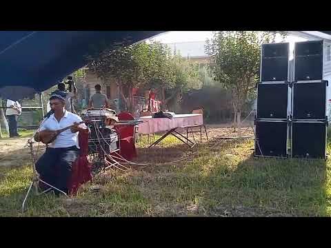 Видео: Кобил бахши каригим келмас