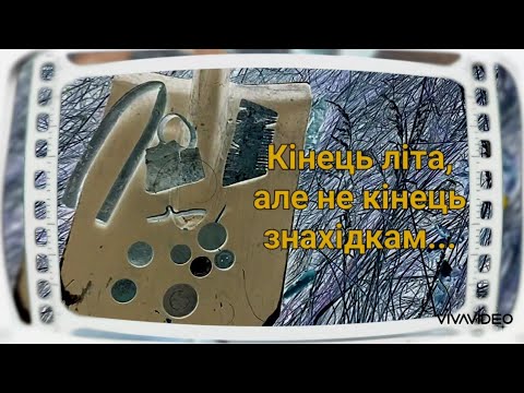 Видео: По закинутим вулицям села. #пошукмонет #скіфмисливецьзаскарбами