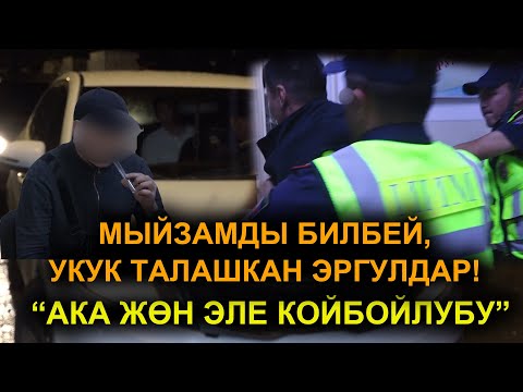 Видео: "Э МЕН ИЧКЕН ЖОКМУН"  /  "СҮЙЛӨШПӨЙЛҮБҮ АКА"  /  РЕЙД