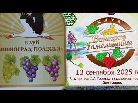 Видео: 1.09.2025. Где в Беларуси созрела ягода? Где пройдут выставки? Что я  высажу у себя!