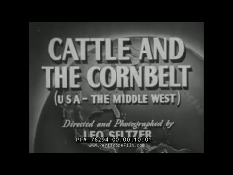 Видео: 1950-е годы Средний Запад США, скотоводство и фермерство, кукуруза 76294