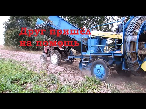 Видео: Т-25 и Анна копают наш огород!
