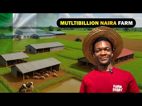Видео: Внутри КРУПНЕЙШЕЙ фермы Нигерии — фермы ORACLE стоимостью в миллиард найр